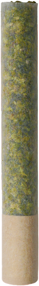 Product 2